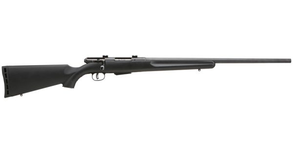 25 Walking Varminter 17 Hornet Bolt Action Rimfire Rifle