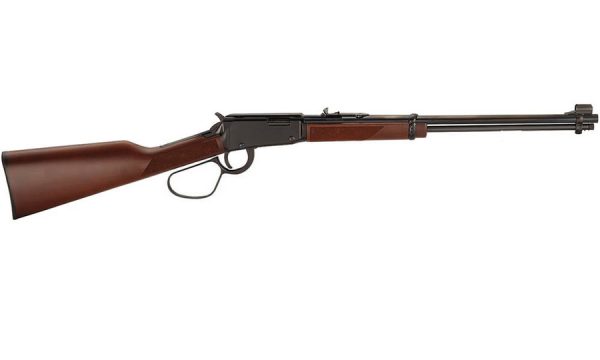 22 Magnum Lever Action Rifle with Large Loop