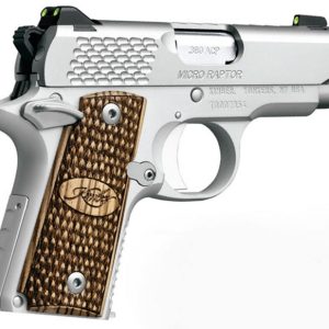 Micro Raptor Stainless 380 Auto Centerfire Pistol