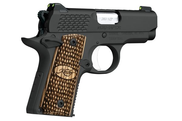 Micro Raptor 380 ACP Carry Conceal Pistol