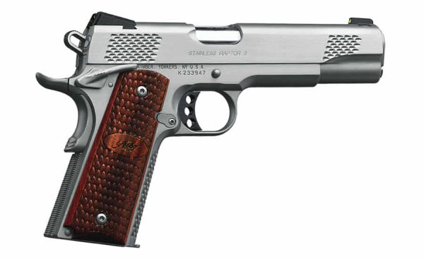Stainless Raptor II .45 ACP with Night Sights