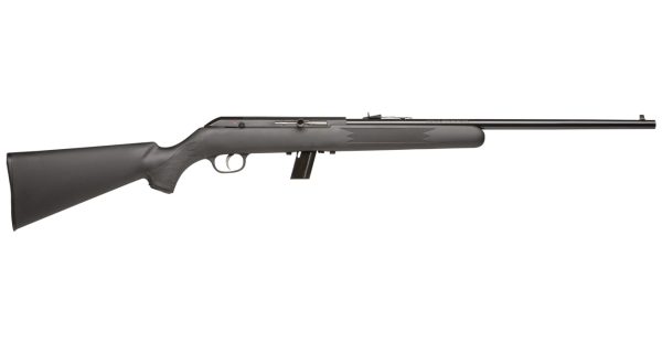 Model 64F 22LR with Black Synthetic Stock
