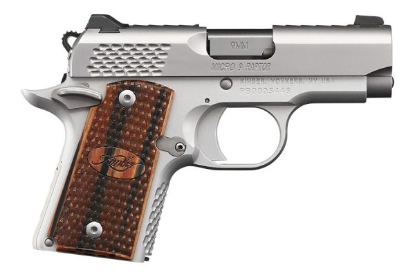 Micro 9 Stainless Raptor 9mm with Night Sights