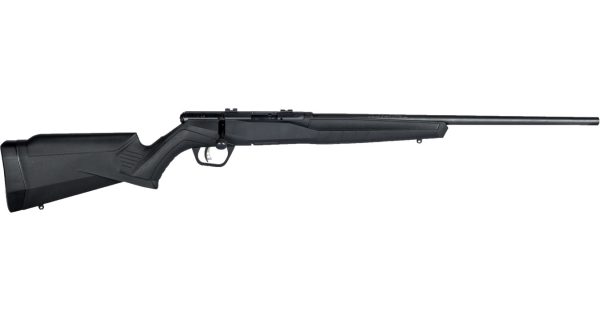 B17 F 17 HMR Bolt-Action Rifle