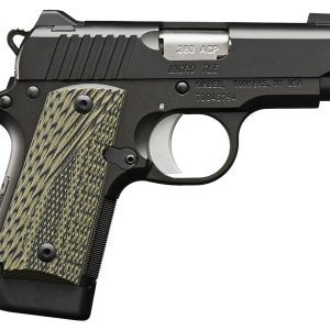 Micro TLE 380 ACP Carry Conceal Pistol