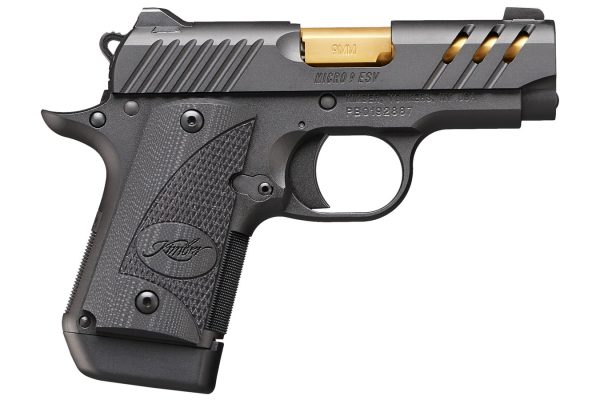 Micro 9 ESV Black 9mm Carry Conceal Pistol with Ported Slide