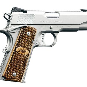 Stainless Pro Raptor II 9mm Pistol with Night Sights - Firearms - Texas Gun Store