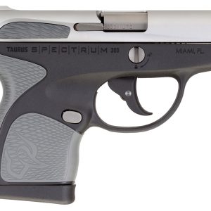 Spectrum .380 Auto Black Pistol with Stainless Slide and Gray Grips - Firearms - Texas Gun Store