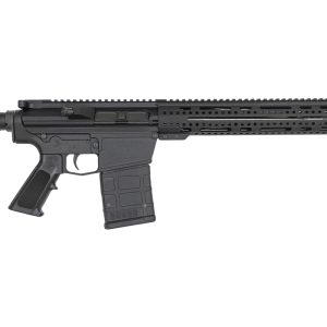 DMR 308 Win Custom Rifle