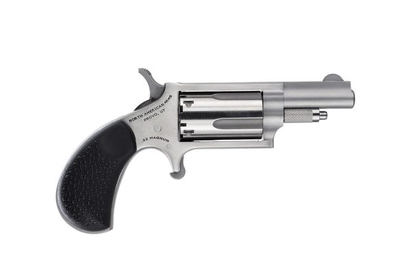 22 WMR Mini Revolver with Holster