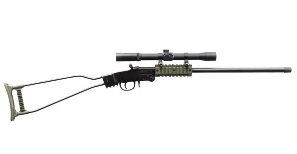 Little Badger 22LR Rimfire Rifle with 4x20mm Scope