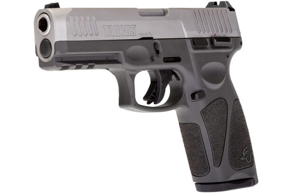 Tenifer Matte Stainless / Gray 9mm Luger Full Size 17 Rds. Steel Sights - Image 2